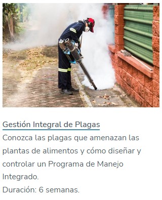 GIP.jpg